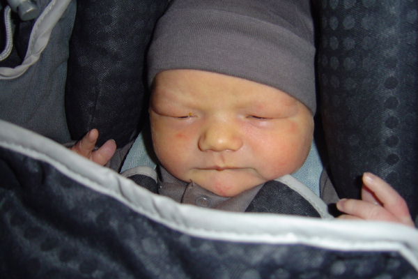 Image 14 of 56  -  41 kB